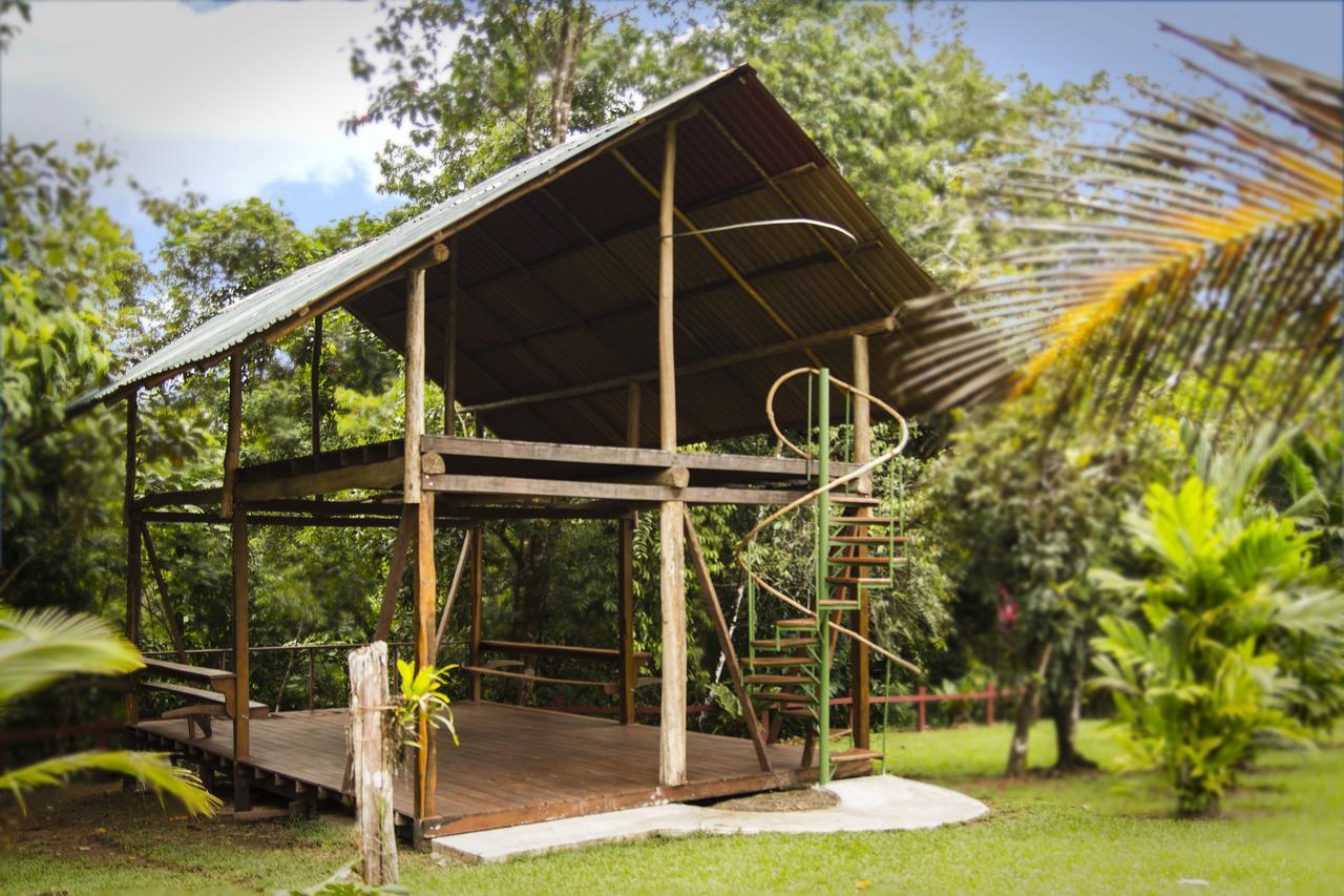 Naguala Jungle Lodge Drake Bay Exterior photo
